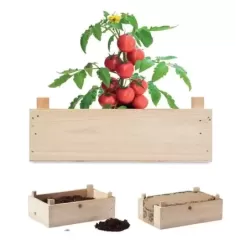 Zestaw do uprawy pomidorów