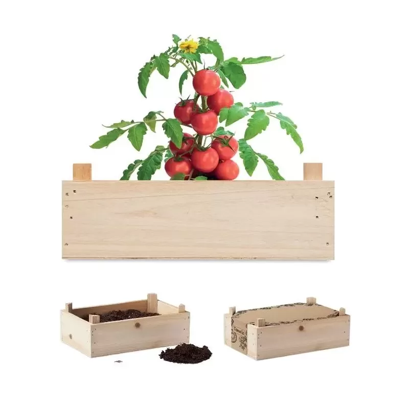 Zestaw do uprawy pomidorów