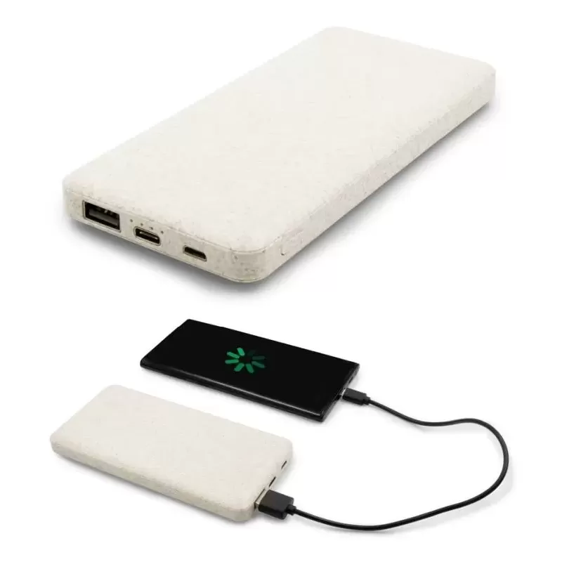 Power bank 8000 mAh Jenkins